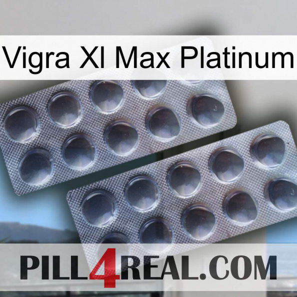 Vigra Xl Max Platinum 31.jpg